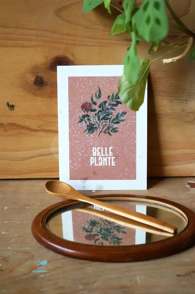 'Belle plante' - papier écru