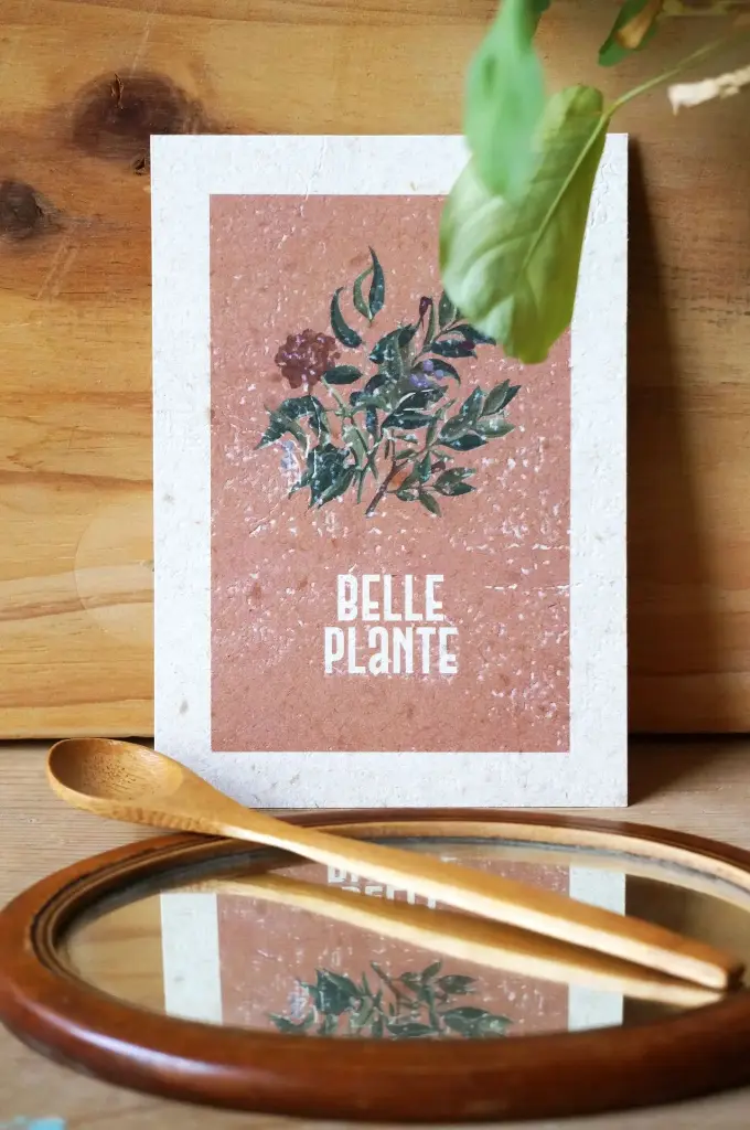 'Belle plante' - papier kraft