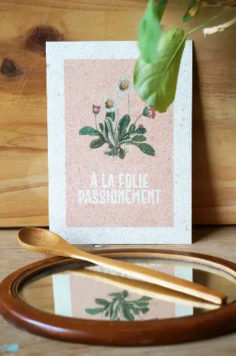 'À la folie passionnément' - papier kraft